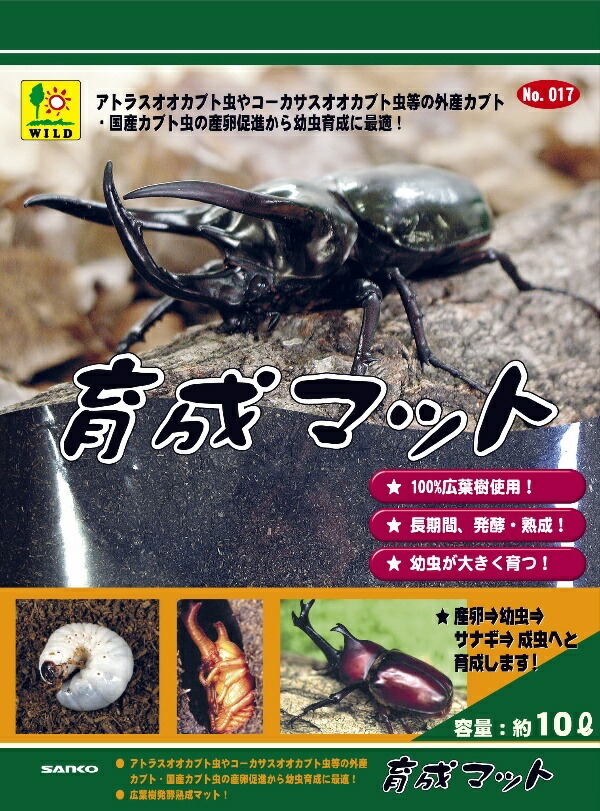 ケンタウルスにも抜群！プレミアム3次発酵カブトムシマット【6袋セット】産卵にも！ Amazon | あに〇 プレミアム メガ発酵クヌギマット 5L 育成 産卵