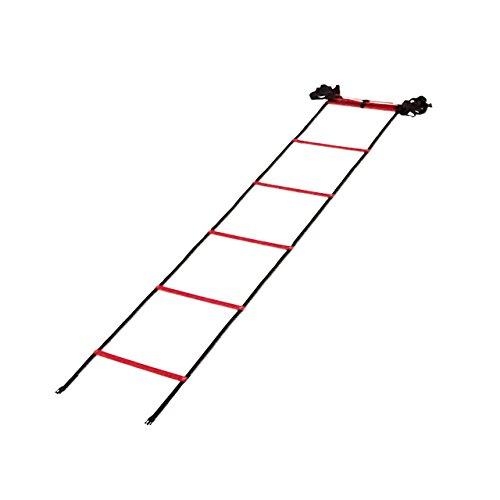 KANEYA(カネヤ) トレーニングラダーST6 幅50cm×6m K-1385