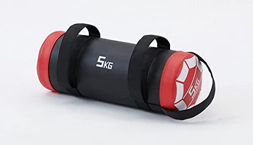 ダンノ(DANNO) ウェイトバッグ 赤いこと 5kg D7290