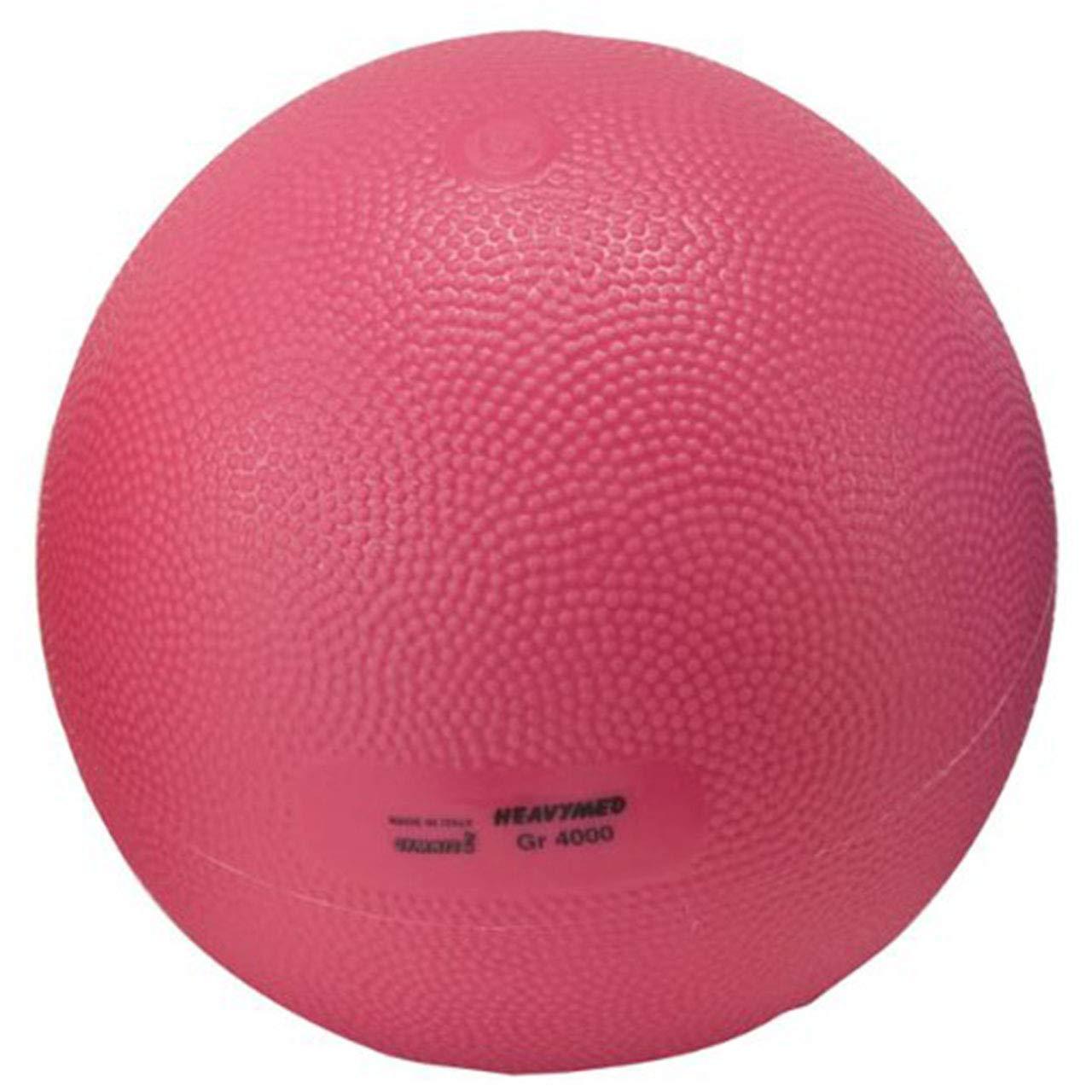 ダンノ(DANNO) ヘビーメディシン4kg D5978