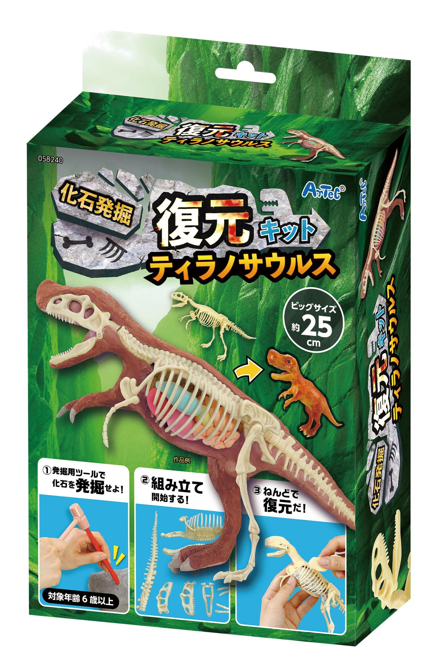 化石 琥珀066｜恐竜・化石グッズの専門店 ふぉっしる