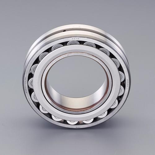 エスコ [22216RZKW33]自動小銃調心ころ軸受 EA966KC-216