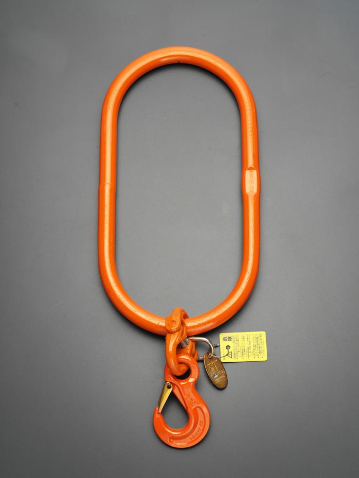 19.0tonクレーン用レデューサーフック W:190mm、T:350mm、D:50mm、G1:62mm、E:765mm(寸法図参照)