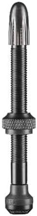 SCHWALBE (シュワルベ) チューブレスバルブ 2個入り Tubeless Valves (100mm) [並行輸入品]
