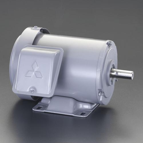 エスコ(ESCO) AC200V・0.4 kw 三相モーター (全閉外扇・屋内形) EA968BA-4A 1台