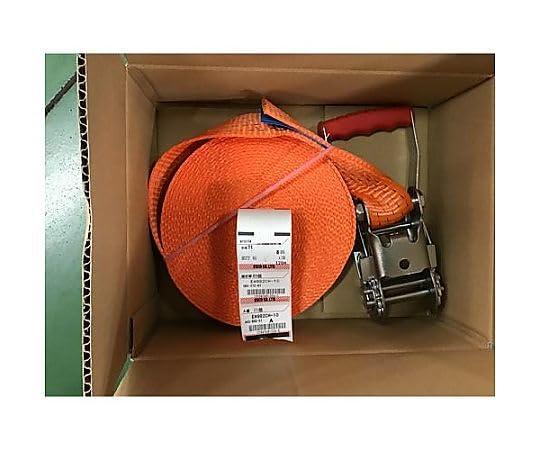 ESCO 50mmx10m/1650kg ベルト荷締機 エンドレス型 EA982CH-10AB