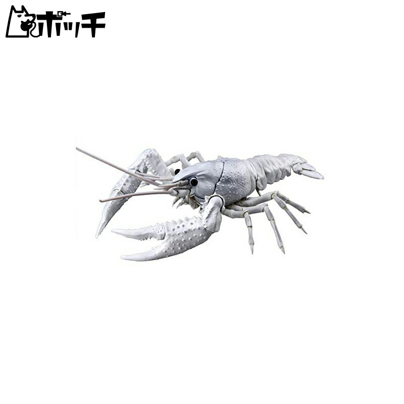 楽天市場 自由研究24 Ex2 アメリカザリガニ ホワイト おもちゃ プラモデル プラモデルおもちゃ 模型 工具 ポッチ