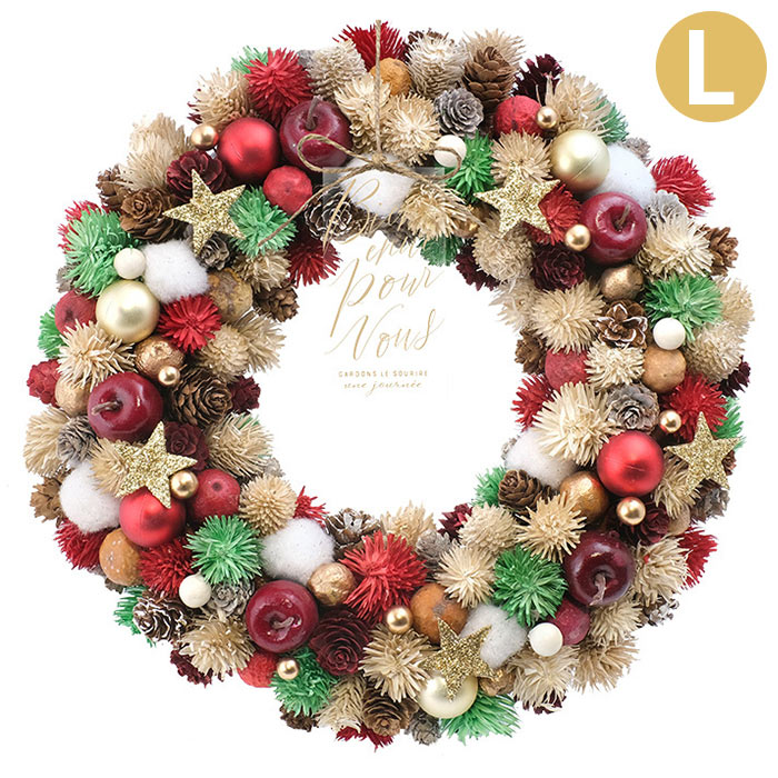 リース フラワーリース 冬 クリスマス CMナチュラルリース L ホリデーポップ