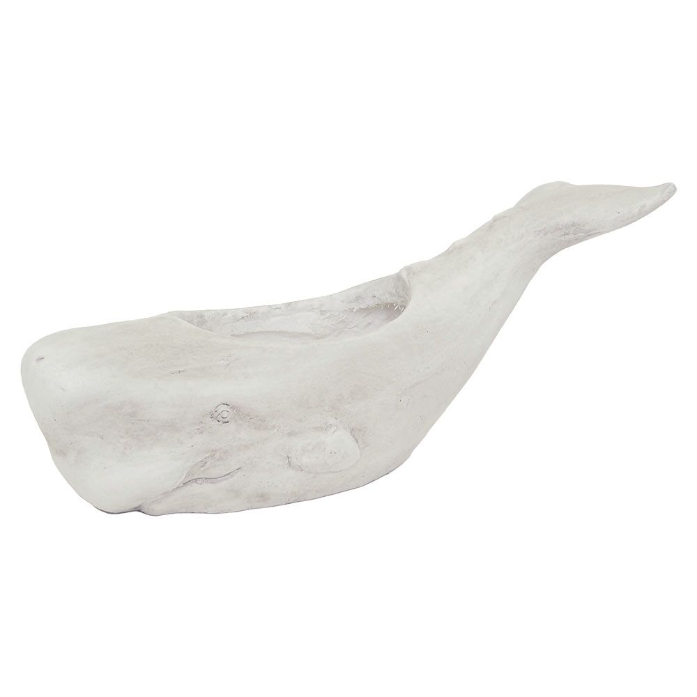 楽天市場】くじらのトムさん 4号鉢 : 干支お雛様のせともの市場