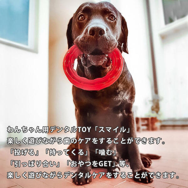犬用 楽しく遊びながら歯のケア 送料無料 イタリアferplast社製 ドッグデンタルトイ スマイル L レッド ブラック 犬 大型犬 おもちゃ トイ 玩具 デンタル 丈夫 壊れない タフ 破壊王 遊び ペット用品 Fw 一流の品質