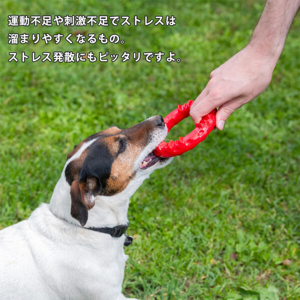 犬用 楽しく遊びながら歯のケア 送料無料 イタリアferplast社製 ドッグデンタルトイ スマイル L レッド ブラック 犬 大型犬 おもちゃ トイ 玩具 デンタル 丈夫 壊れない タフ 破壊王 遊び ペット用品 Fw 一流の品質