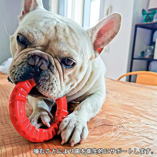 犬用 楽しく遊びながら歯のケア 送料無料 イタリアferplast社製 ドッグデンタルトイ スマイル L レッド ブラック 犬 大型犬 おもちゃ トイ 玩具 デンタル 丈夫 壊れない タフ 破壊王 遊び ペット用品 Fw 一流の品質