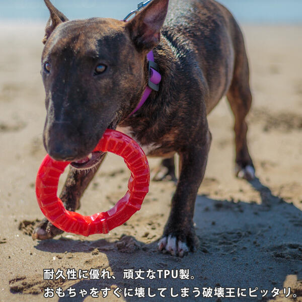 犬用 楽しく遊びながら歯のケア 送料無料 イタリアferplast社製 ドッグデンタルトイ スマイル L レッド ブラック 犬 大型犬 おもちゃ トイ 玩具 デンタル 丈夫 壊れない タフ 破壊王 遊び ペット用品 Fw 一流の品質