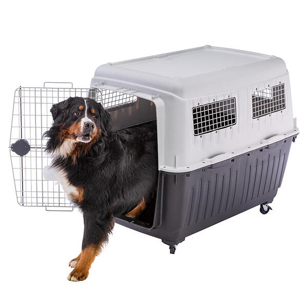 送料無料 アトラス 80 atlas 80 イタリアferplast社製 キャリー ペットキャリー 犬 ゲージ 飛行機IATA航空輸送基準をクリア 73075021 8010690176550 | ペット用品 FW｜キャラクターグッズPoccL