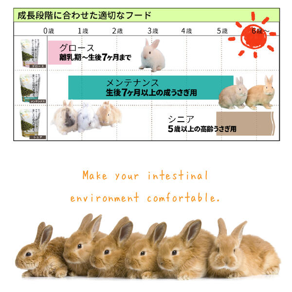 楽天市場 送料無料 牧草市場 牧草市場 スーパーラビットフード メンテナンス 1 2kg うさぎ モルモット 生後7カ月以上 毛玉ケア コントロール ペット用品 Fw キャラクターグッズpoccl