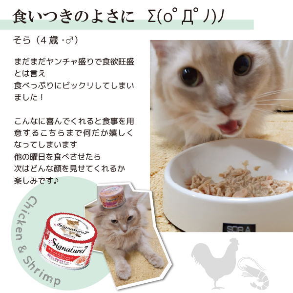 シグネチャー