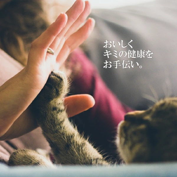 シグネチャー