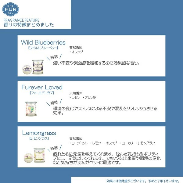 送料無料ライン対応ショップ 送料無料 吊り下げでおくと心地よい香りが広がります Pet House カーフレッシュナー ペット用 消臭 アロマ 犬 Ofa C Fw 送料無料 当日発送可能 猫 ペット用品 車 香り 吊り下げ イヌ ネコ