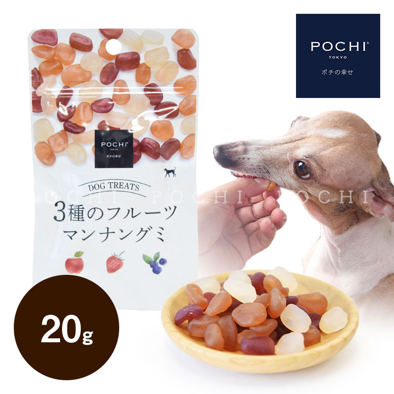 新しい季節 POCHI ドッグフード ドライ ポチ 3kg✕2袋 ペットフード