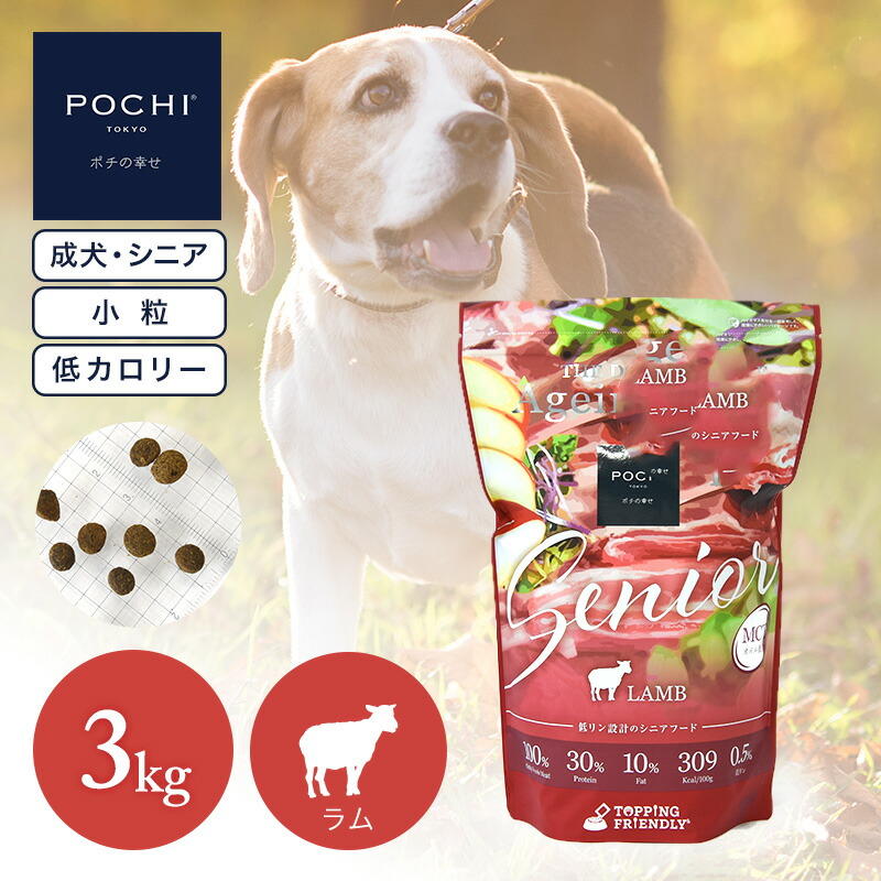 3kg×3個 POCHI ザ ドッグフード ワイルドサーモン 新品未開封 Amazon.co.jp: POCHI ザ・ドッグフード ベーシック ワイルドサーモン