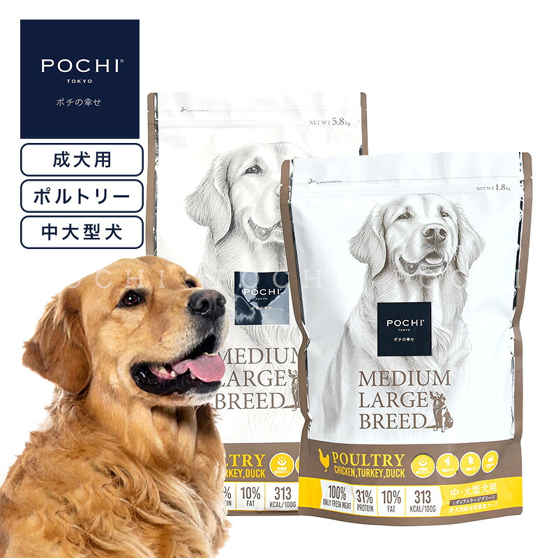 【百貨店大売り出し！】お得な案内書を照合のしるし！