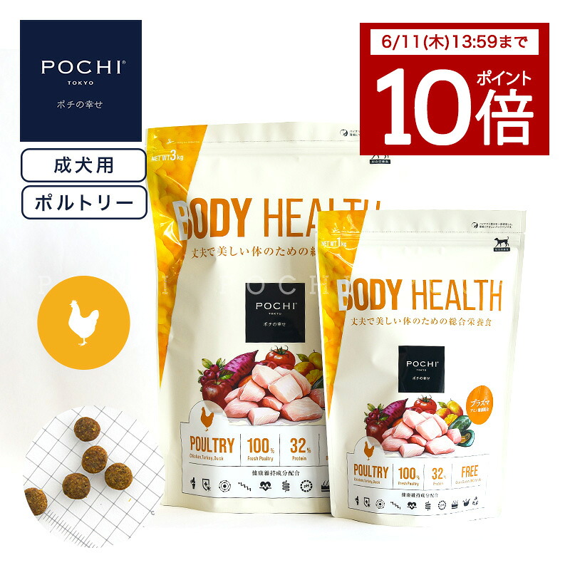 【百貨店大売り出し！】お得な案内書を照合のしるし！