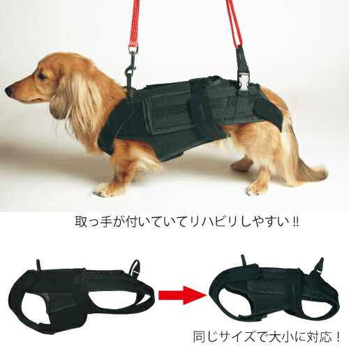送料無料スーパーコルベッツMサイズ(背中の長さ25〜36cm)(胸部の周径35〜55cm)