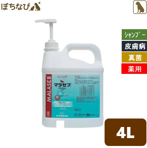 人気特価激安 楽天市場 マラセブシャンプー 4l 1ガロン キリカン洋行 マラセチア 皮膚炎 真菌 カビ 抗菌 薬用シャンプー 犬 犬用 動物用医薬品 獣医 病院 おすすめ ペットの健康寿命を考えるぽちなび 在庫限り Www Familypharmacybh Com