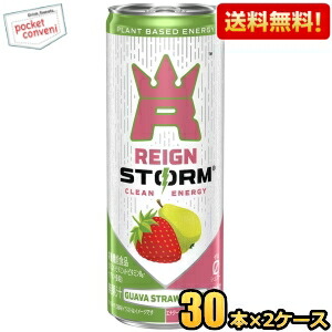 【送料無料】アサヒ レインストーム グァバストロベリー 250ml缶 60本(30本×2ケース) 炭酸飲料 エナジードリンク 栄養機能食品 ゼロカロリー カロリーゼロ ゼロシュガー グアバストロベリー REIGN STORM プラントベース ※北海道800円・東北400円の別途送料加算