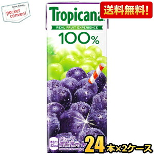 【送料無料】キリン トロピカーナ100％ グレープ 250ml紙パック 48本(24本×2ケース) 果汁100% ぶどう ※北海道800円・東北400円の別途送料加算 [39ショップ] kirin2024cp