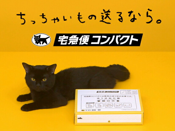 imgrc0105979695.jpg