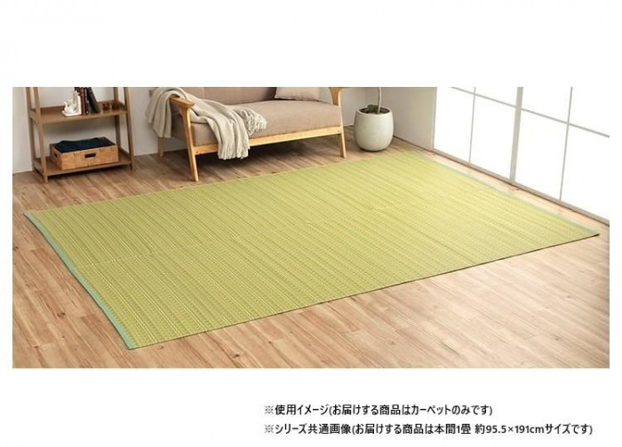 ダイニングラグ 除菌スプレー対応 グリーン 本間1畳 日本製 撥水 洗える｜PocketCompany　店