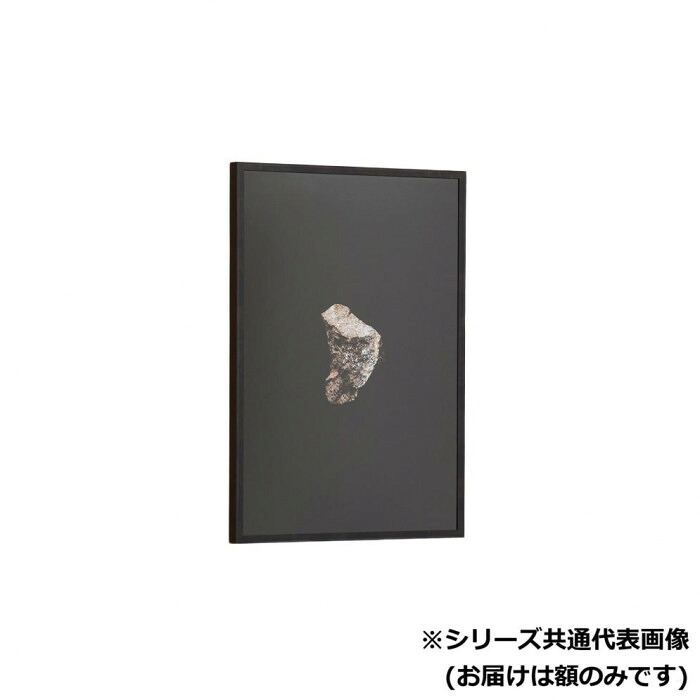 アルミフレーム額縁 宗達 小全紙 659×509mm アクリル付 深さ16mm アルナ|PocketCompany 店