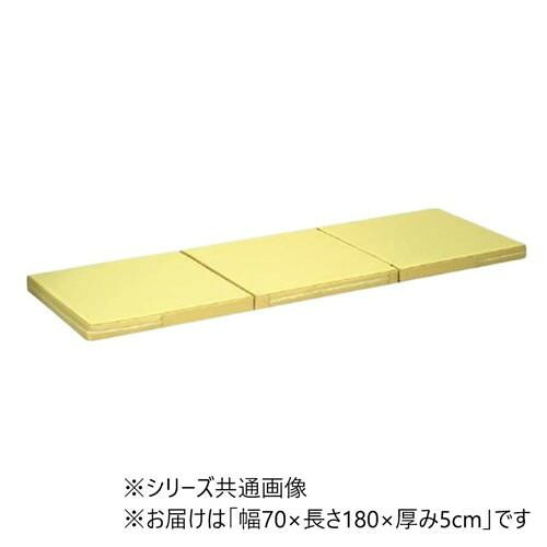 ポータルマット 三つ折り式 幅70&times;長さ180cm 厚み5cm 軽量 施術用｜PocketCompany　店