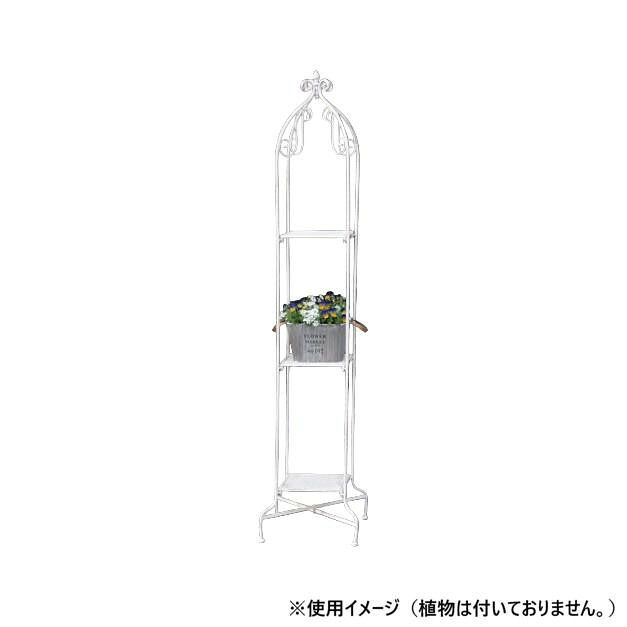 オベリスクスタンド 花台 観葉植物 ディスプレイ 組立式 165cm｜PocketCompany　店
