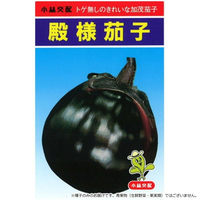 ナス 種子 賀茂茄子 殿様 極早生 大果 光沢 黒紫色 収量多 家庭菜園 園芸 20ml｜PocketCompany　店