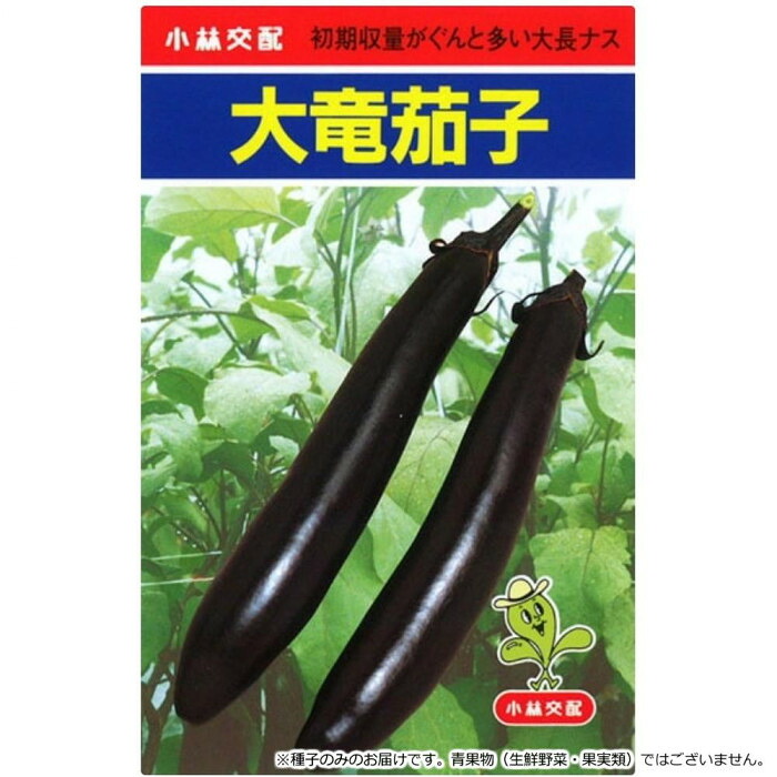 ナス種子 大竜 20ml 大長茄子 豊産種 家庭菜園 野菜の種 農業|PocketCompany 店
