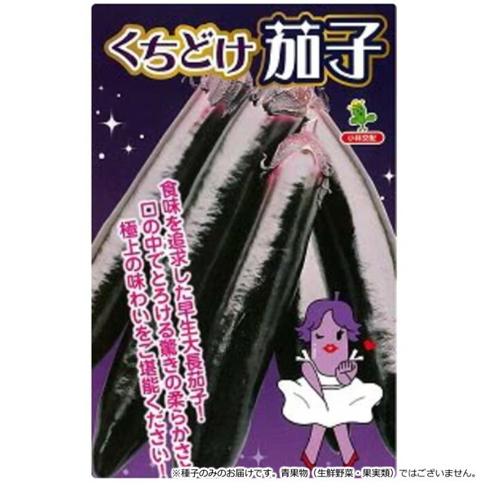 ナス 種子 くちどけ茄子 大長茄子 早生 柔らかい 家庭菜園向け 20ml｜PocketCompany　店