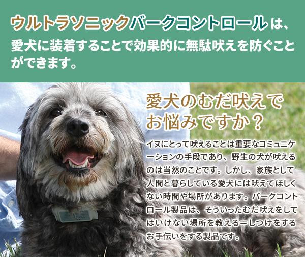 無駄吠え防止グッズ 超音波 無駄吠え防止首輪 小型犬 無駄吠え禁止 Napierprison Com