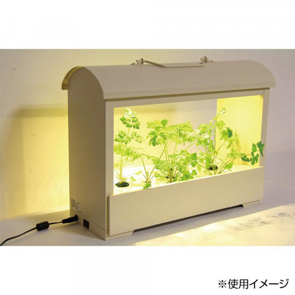 水耕栽培機 水耕栽培 野菜 水耕栽培容器 水耕栽培ポット 水耕栽培 Led Csg Com Py