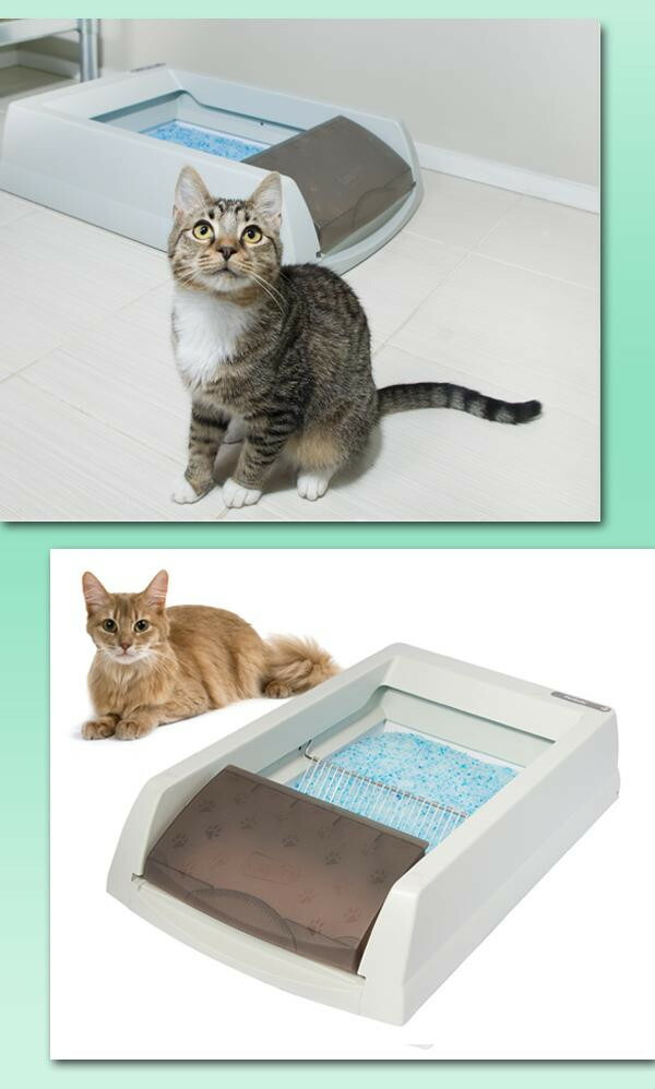 猫の自動トイレ 猫の自動トイレ 猫 トイレ 猫自動トイレ 猫用自動トイレ ネコちゃんのトイレ掃除がラクラク 猫用品 自動トイレ Pocketcompany 店 猫用自動トイレ 自動 猫の自動トイレ 猫の自動トイレ 猫 トイレ 猫自動トイレ 猫用自動トイレ ネコちゃんのトイレ掃除がラクラク 猫用品 自動トイレ Pocketcompany 店 猫用自動トイレ 自動