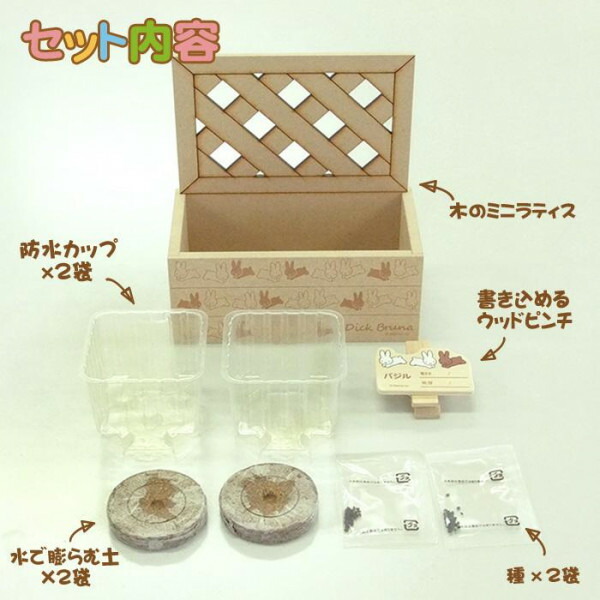 草 育てる 新米 ハーブ 栽培キット ハーブ 栽培 住処内辺 ハーブ栽培 初心者 Doorswindowsstairs Co Uk