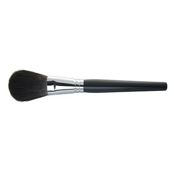 ランキング1位新作人気モデル のai Brush ロング 大型物置 フェイス パウダーブラシ 灰リス 2l Pocketcompany 灰リス 荷台カバー 店シンプルなデザインのフェイスブラシ 人気殺到大特価