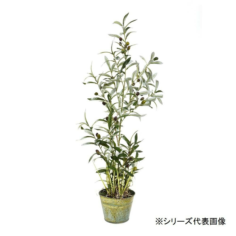 43%割引見事な創造力 光の楽園【光触媒/人工観葉植物】0.9m オリーブ【代引不可】 その他観葉植物 観葉植物-WWW.8BALLHUSTLE.COM 43%割引見事な創造力 光の楽園【光触媒/人工観葉植物】0.9m オリーブ【代引不可】 その他観葉植物 観葉植物-WWW.8BALLHUSTLE.COM