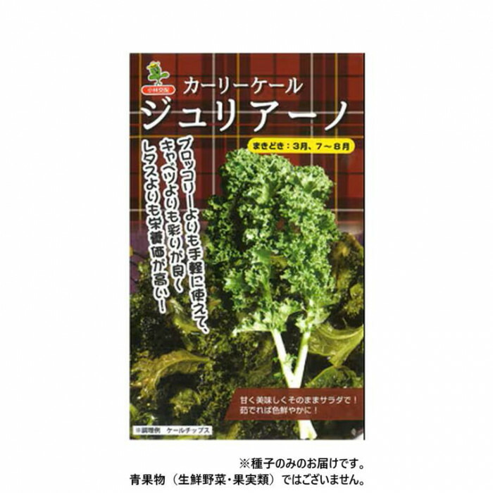 小林種苗 ケール種子 ジュリアーノ　5425　2000粒