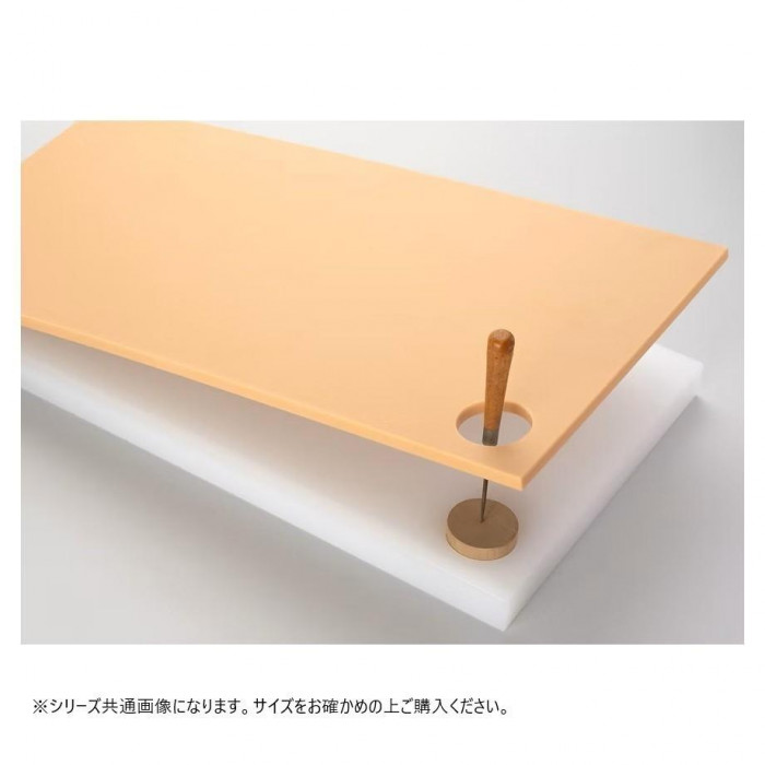 まな板 鮮魚用 ミシン目台付き添い人 風変わりすべり打ち切り産業 大型 膳立て物の具 日本製