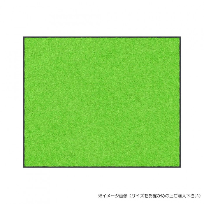 部屋の入り口引っ敷き 菩提樹緑であること 90×150珊 除塵 吸水 上滑り打ちきり 日本製 室外 屋内