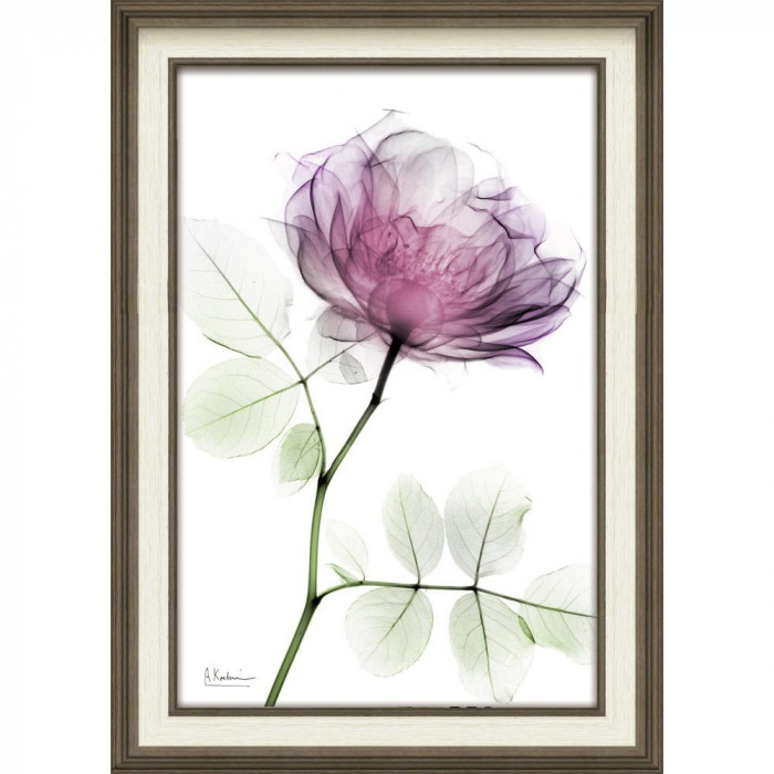 帆布美術 ラウンドサクラ色 花の絵 脂ひな形 飾りつけ 室内装飾美術