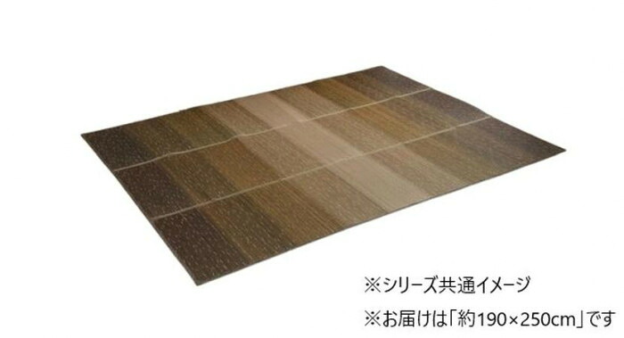 い草ラグ 抗菌防臭 滑り止め付 ブラウン 190×250cm KOBA-GUARD