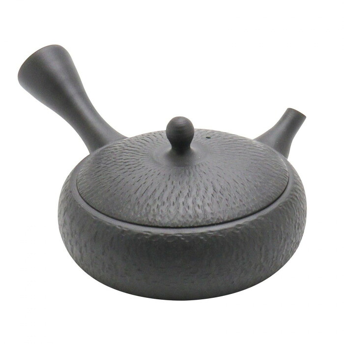 急須 平型 セラメッシュ 200cc 常滑焼 陶器 お茶 美味しく